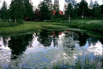 Trumman är passerbar och behöver ej åtgärdas. Vandringshinder 6 är en av sten, betong och trä uppbyggd damm vid Prästhyttan (Foto 6.8.8). Den är ca,5 meter hög och har dämningseffekt långt uppströms.