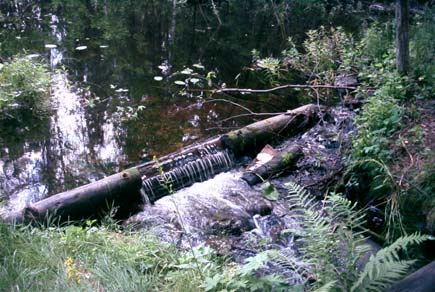 Tröskeln själv har inte högre fallhöjd än ca,3 meter, men förhållandena nedanför denna gör hindret till minst partiellt (Foto 6..).