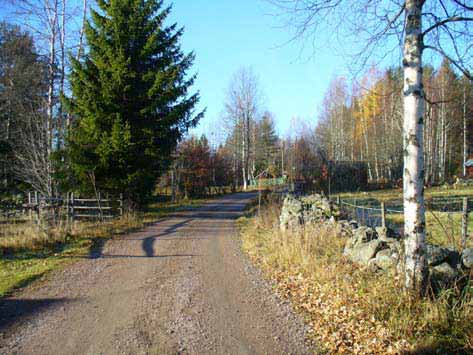 KALVSNÄS Kalvsnäs by är belägen i den västra delen av Torsåker, mellan sjöarna Dammsjön och Sälgsjön.