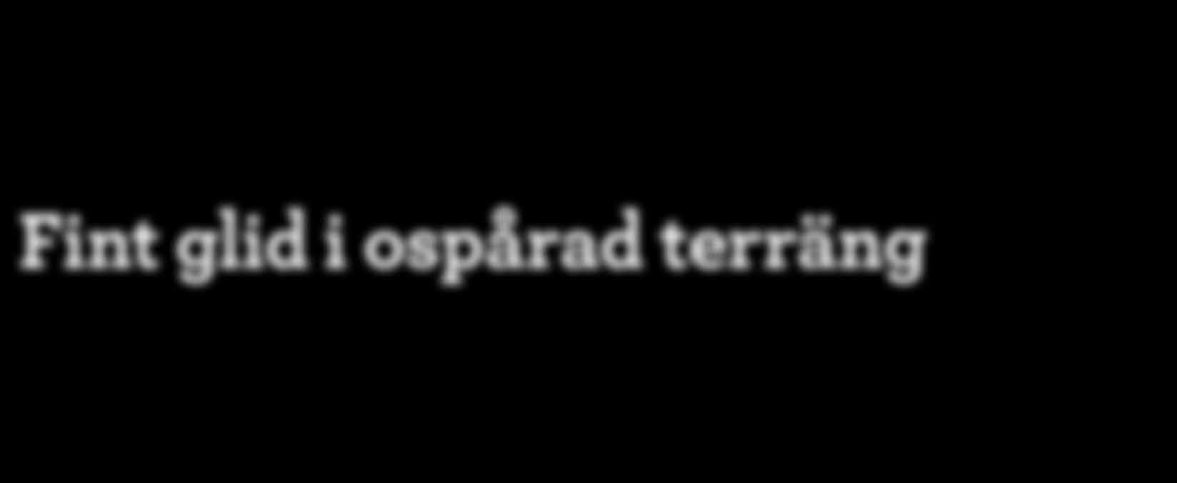 Allt började när han gick på Samernas utbildningscentrum i Jokkmokk i början av 1980-talet. Dalmasen Bo fick upp ögonen för skidåkning med lössnöskidor.