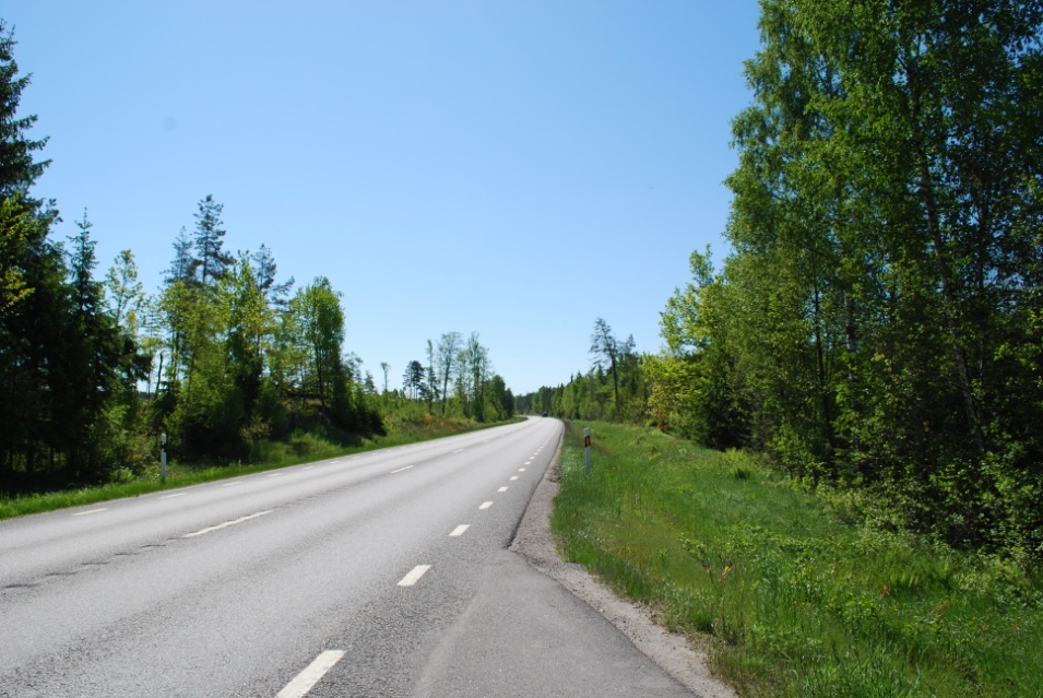 älgars rörelsemönster inte räcker för att förutsäga var risken för älgkollisioner är förhöjd och att risken blir överskattad om man istället baserar riskuppskattningarna på enbart