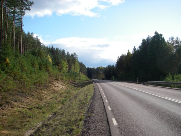 I detta kapitel kommer endast effekter av insåning och slåtter att tas upp eftersom halkbekämpning inte går att åtgärda med vägmiljöförändringar och därför faller utanför denna studie.