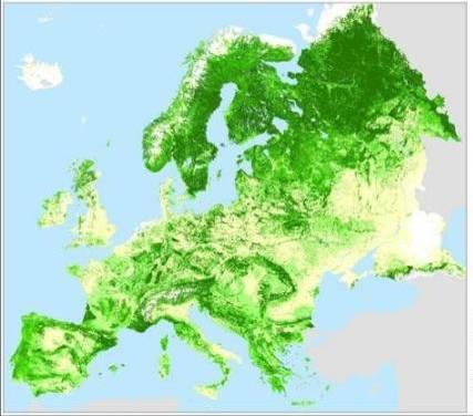 Our region and the site Our cluster