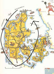 (rad 41) samt å Danmark exporterar även mycket (0.2) griskött (rad 43-44). Återigen framträder en lista genom den prosodiska konturen i denna uppräkning.