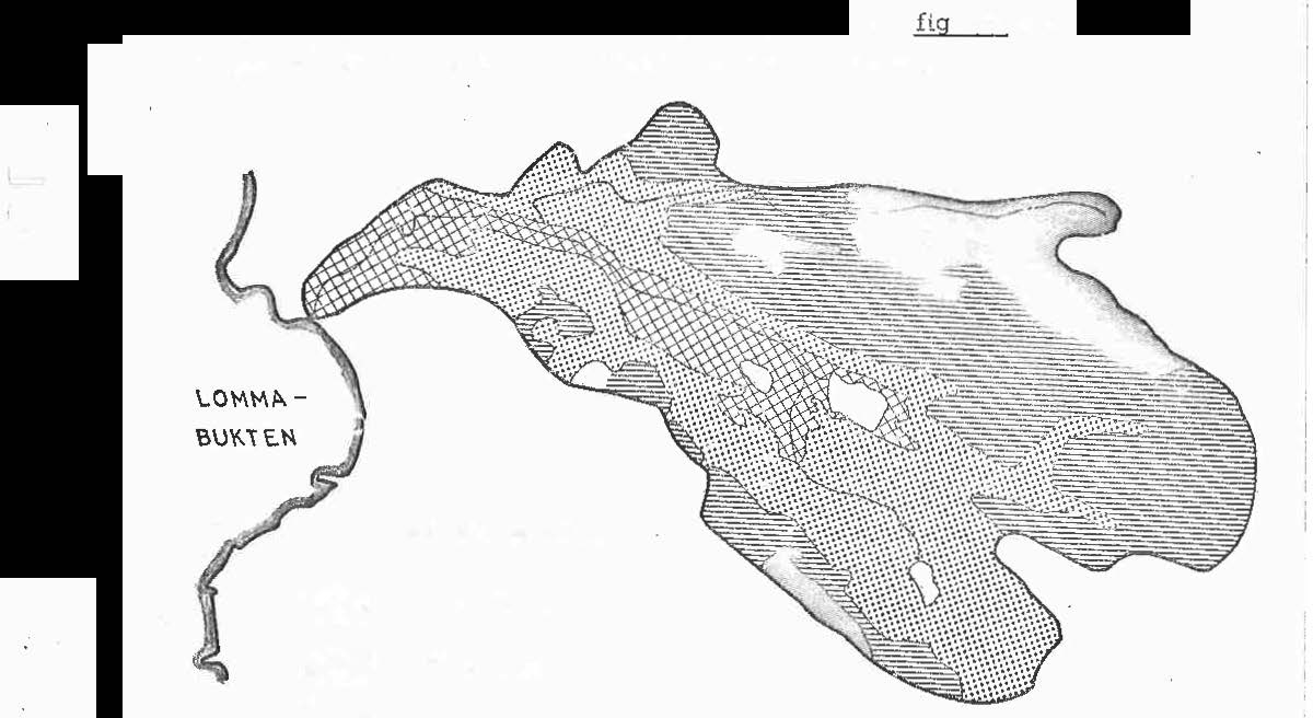 2 -- NATURGEOGRAFisKA FÖRHÅLLANDEN 2.1 ORIENTERING Kävingeåns övre de upprinner på Linderödsåsen och benämnes Vosjöån1 Toångaån, Åsumsån och Björkaån at efter de trakter den genomfyter.