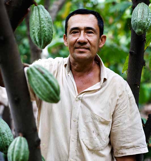 Tidigare fick vi inte tillräckligt betalt för kakaon för att klara oss. Nu när vår kakao är Fairtrade-märkt kan vi exportera den till bland annat Europa. I och med det har priserna stigit.