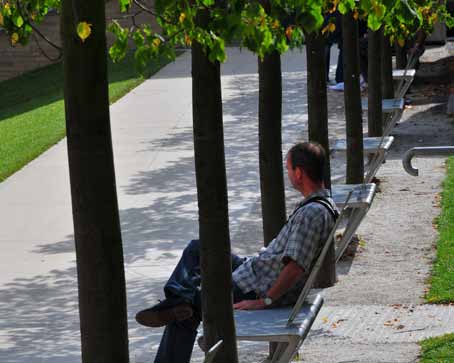 4. Temperatursänkande kvaliteter genom grönstruktur 33 Svalkande promenadstråk, Storbritannien Foto: John Flinn Lokalklimat och luftkvalitet Osloregionen har undersökt hur grönstrukturen bidrar till