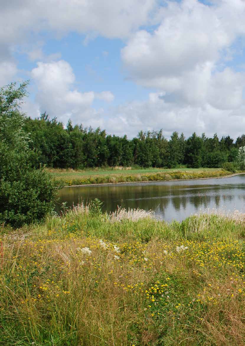 46 Mångfunktionella ytor klimatanpassning av befintlig byggd miljö i