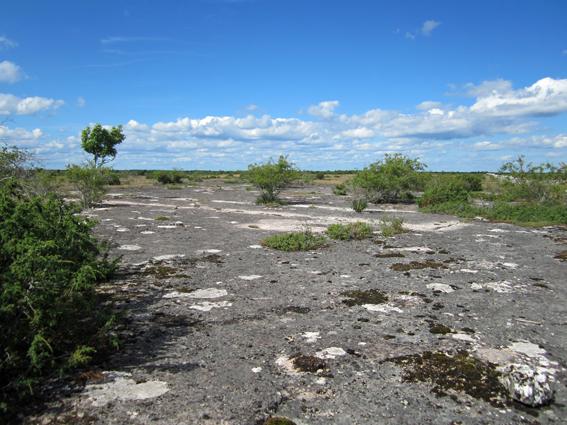 Ryggen planas efter hand ut och leden fortsätter söderut vid sidan av den s.k. mittmuren, en stenmur som sträcker sig i nord/sydlig riktning över hela alvaret, ca 4 mil.