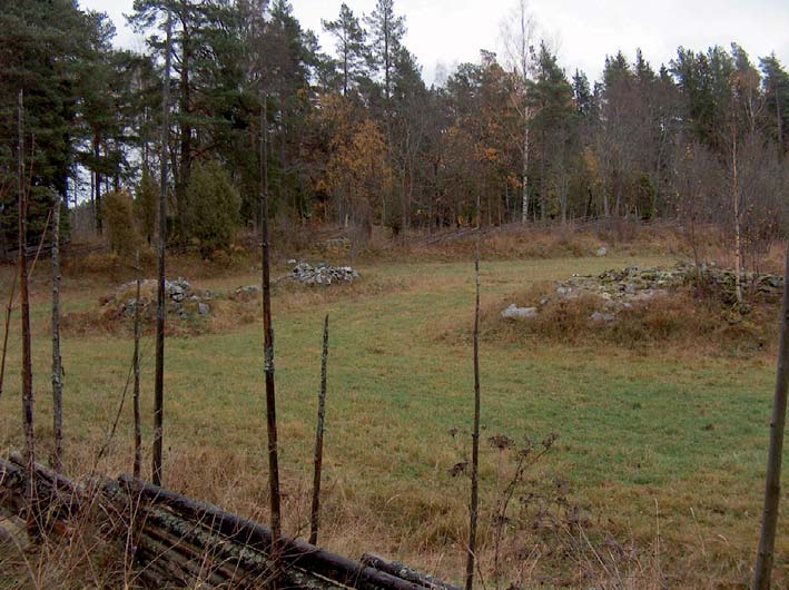 Bild 42. De medeltida röjningsrösena på Lambovallen i Ljusdal.