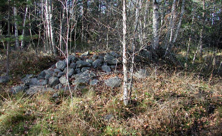 Gravröse intill lämning efter gård från romersk järnålder i Hälsingtuna socken (RAÄ 122). Här utförde länsmuseet en förundersökning år 2004.