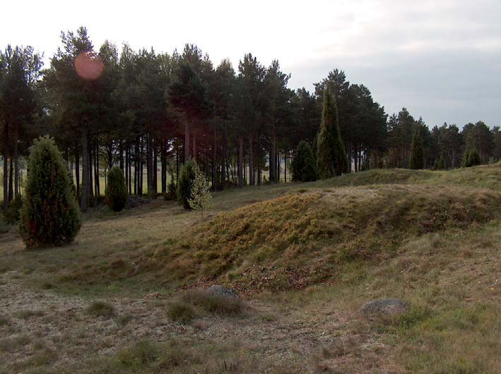 Sörbygravfältet i Årsunda är länets största gravfält från yngre järnålder. Det innehåller omkring hundra gravar.