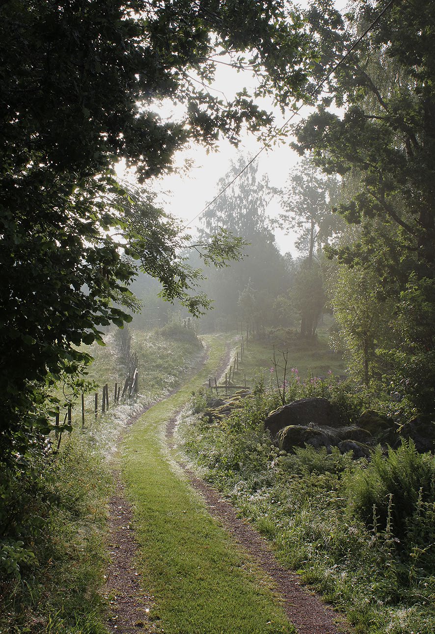 grillplatser med låga bänkar runtomkring, samt en liten badbrygga. Längre fram i artikeln ska jag berätta närmare om denna person som här i texten kallas Heinrich.