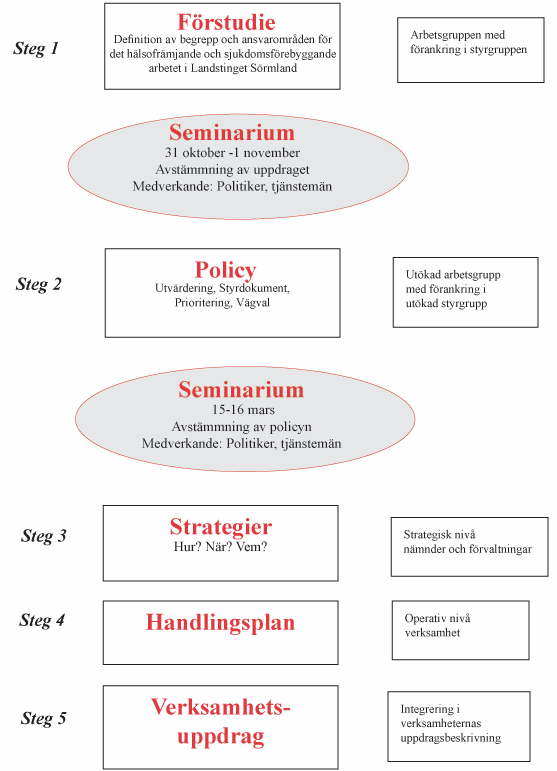 Uppdraget Uppdraget är indelat i fem steg (se bild 1) och berör Landstinget Sörmlands alla verksamheter, hela koncernen.