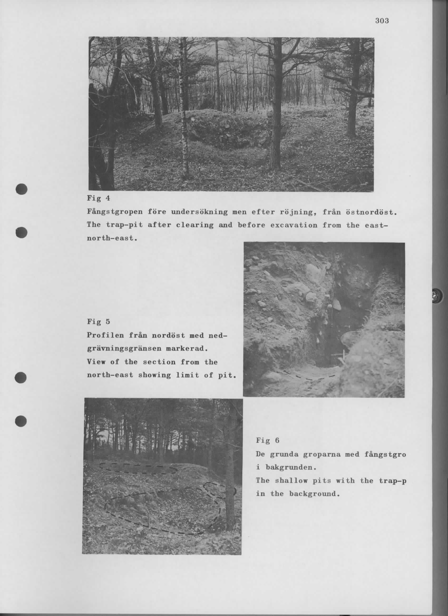 303 Fig 4 Fangstgropen fore undersbkning men efter rbjning, fran bstnordbst. The trap-pit after clearing and before excavation from the eastnorth-east.