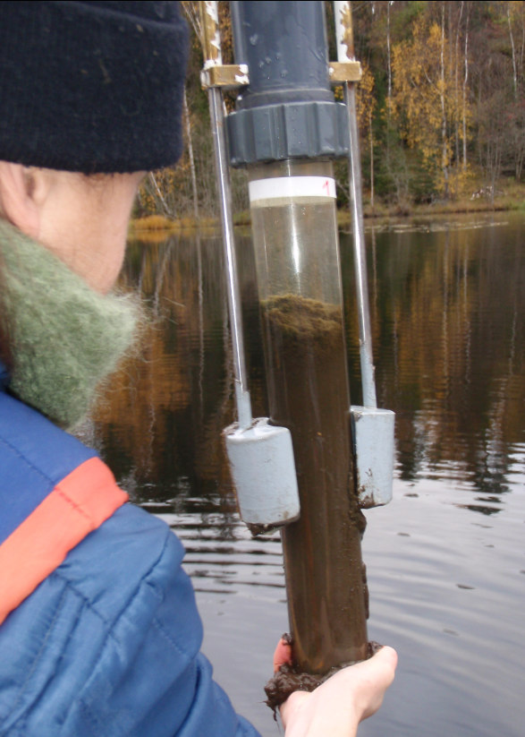 lukt identifierades och inga levande organismer observerades i sedimentytan. Sedimentproppens djupare skikt, ca 30-40 cm ner, hade en mer geléartad konsistens. 2.