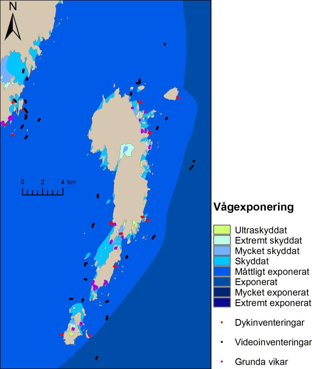 Figur 7. De tre inventeringstyperna i förhållande till beräknad vågexponeringsgrad i området kring Holmöarna.