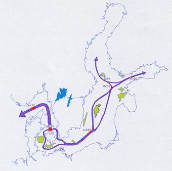 Antal fartygsrörelser med tankfartyg Prognos 2015. [VTT, 2002] Figur 17. Figuren visar en prognos över antalet fartygsrörelser för oljetankfartyg år 2015.