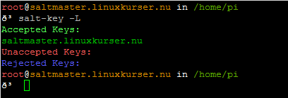 Steg 5: Skriv in kommandot: saltkey a saltmaster.linuxkurser.