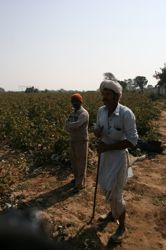 delstater har två tredjedelar av alla självmord begåtts. Många av dem som begår självmord är cash crop-bönder som odlar exportgrödor som bomull, socker och gummi.