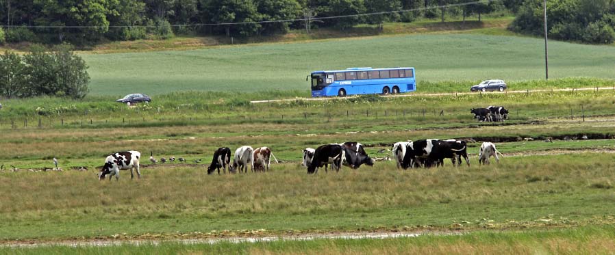 DAGENS TRAFIK I ORUSTS KOMMUN ORUST DAGENS TRAFIKERING Orust kommun trafikeras i av tolv busslinjer, varav fem är lokala och sju regionala linjer.