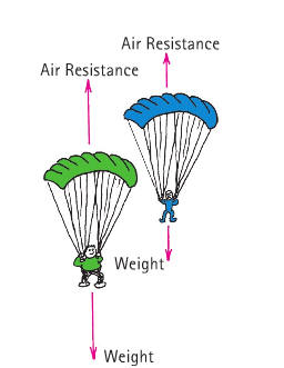 Diskussion En man (grön) och hans fru (blå) hoppar fallskärm. Mannen landar först.