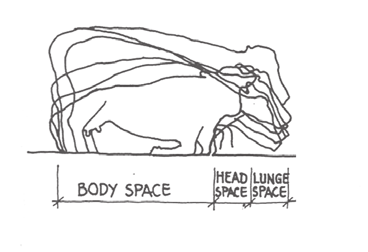 - Utrymme för huvudet, d.v.s. det utrymme framför kon där hon håller huvudet då hon ligger. - Utrymme för resning d.v.s. extra utrymme för huvudets rörelse framåt då kon reser sig.