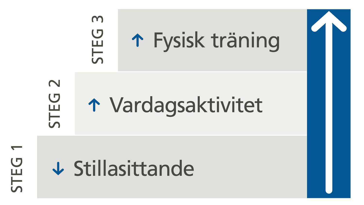 HUVUDBUDSKAP Grunden i alla rekommendationer för fysisk