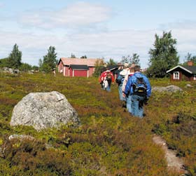 SKÄRGÅRDSKRYSSNINGAR En kryssning ut i skärgården förstärker upplevelsen av den storslagna naturen. Alla dessa öar, kobbar, skär och stenar.