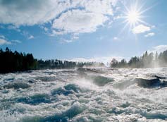 Upplev! Använd sommaren till att se och uppleva bygden, oavsett om du bor här eller besöker Älvsbyn! Turistbyrån kan ge mer information och vägbeskrivning.