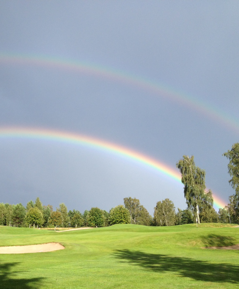 GOLFARENNovember 2012 Året som gått