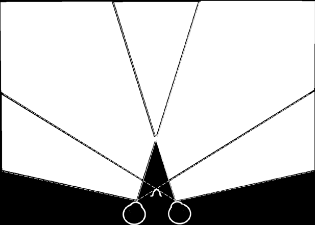 I denna sektor, som sträcker sig triangelformat från fixationspunkten till oändligheten, har ingetdera ögat någon synförmåga (Figur 7).