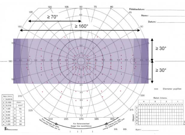 Figur 3. Kravet på minsta synfältsutbredning för grupp II-III. De röda markeringarna är testpunkterna vid binokulär Esterman-perimetri.