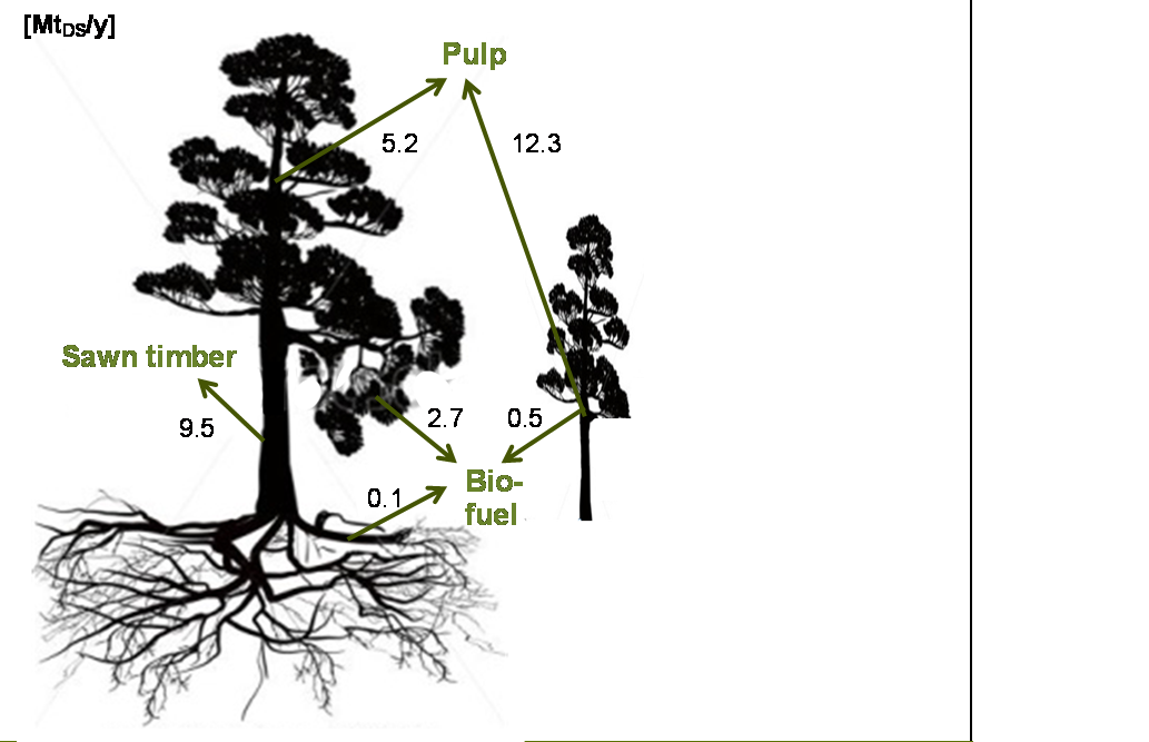 41 [Mt DS /y] Sawn timber Pulp Biofuel Sum Stemwood 9.5 5.2 14.7 Thinnings 12.3 0.5 12.8 Branches & tops 2.7 2.7 Stumps & roots 0.1 0.1 Sum 9.5 17.5 3.3 30.3 Figur 10.