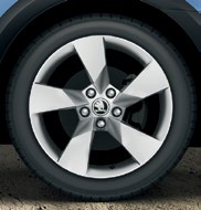 17" POLAR