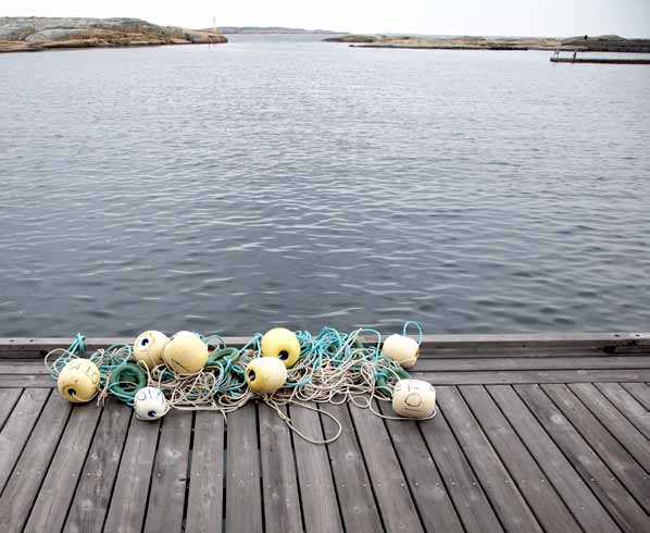 Kebony ger hållbarhet och styrka En betydande fördel med Kebony-trä är dess tålighet mot väder och vind, vilket är en viktig egenskap när träet är utsatt för vädrets makter.