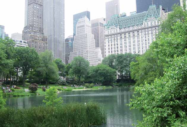 Central Park på Järvafältet och Gärdet Efter att militären lämnat Järvafältet på 1970-talet köpte Stockholms stad in de delar som ägdes av Järfälla kommun för att använda hela fältet för