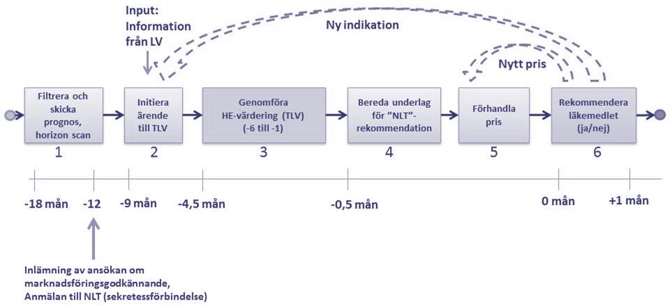 Figur 4 Introduktionsprocessens huvuddelar och deras ungefärliga tidssamband. Det finns ett antal förutsättningar för att stegen i Figur 4 ska kunna realiseras: 1.