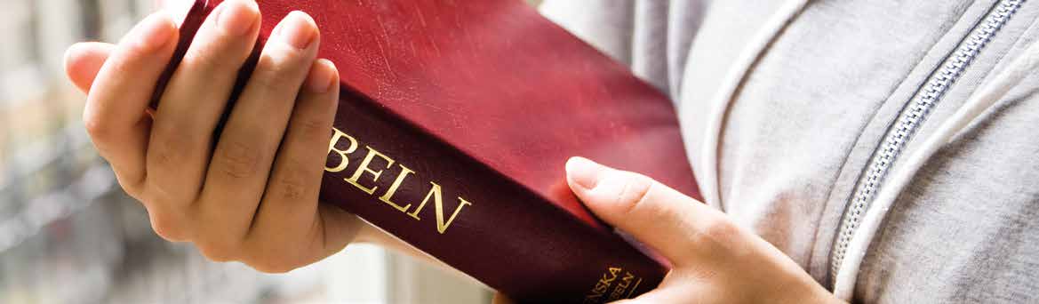 Sedan dess har över en halv miljon helbiblar och Nya testamenten spritts i Sverige och Svenskfinland.