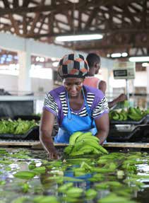 Sveriges konsumenter är redo för en större marknad av Fairtrade-märkta produkter.