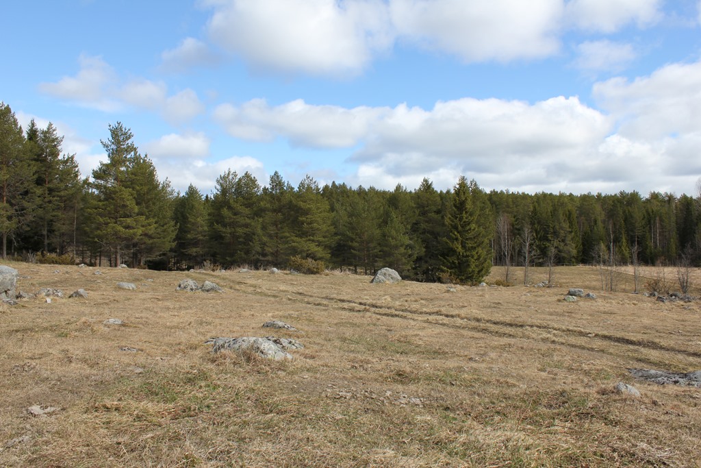 Lövbränna om 1,2 ha, lövbränna om 4,4 ha samt mindre område med rikligt med grov asp. Det finns tre områden med fornlämning på fastigheten. Jakt Jakträtt finns till fastigheten.