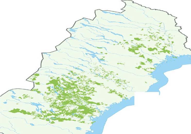 Figur 5. SCA:s skogsinnehav 19 Korsnäs Skog AB Korsnäs ägs av Kinnevik och har sitt säte i Gävle.