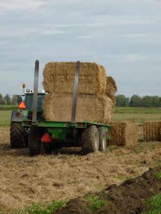 avrens, halm mm Råvara till biogas (rörflen,