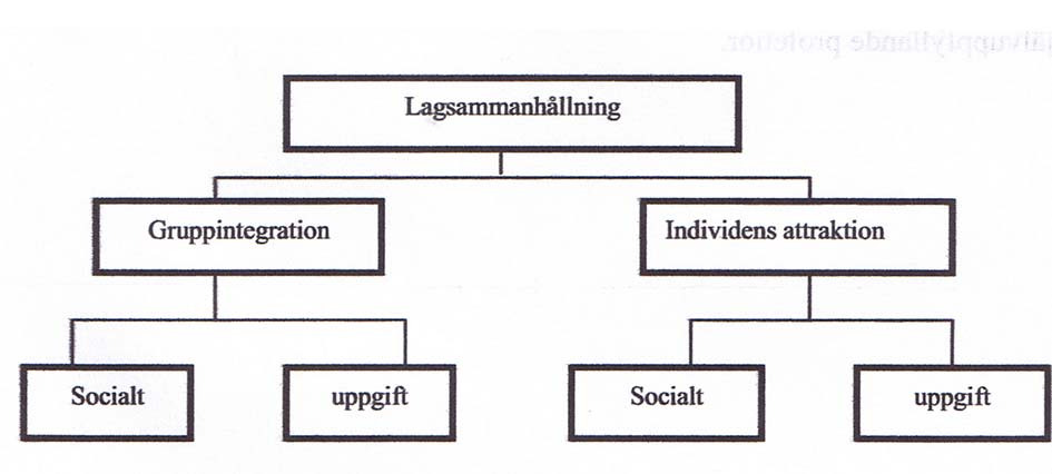 gift och sociala aspekter. Carron, Brawley och Widemeyer har utvecklat en konceptuell modell som GEQ baseras på. Figur 9. Konceptuell modell av lagsammanhållning för GEQ.