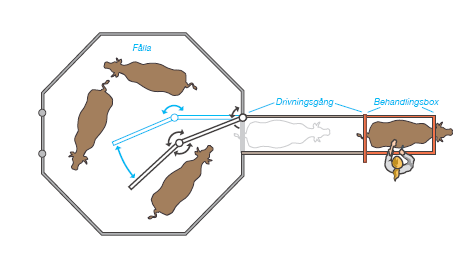 I verksamheter med stora grupper av lösgående djur på bete, t ex vid nötköttsproduktion är en investering i bra hanteringsutrustning av stor betydelse för att förenkla arbetet och minimera risken för