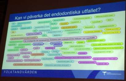 Framtidens endodonti har fokus på regenerativ endodonti: experimentella studier kommer att ge oss en fördjupad förståelse av den biologiska processen för