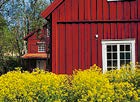 Ett antal tävlingar mellan hemmen som räknas ihop i en poängställning under läsåret. På skolavslutningen får det vinnande hemmet ta emot vandringspokalen. HUSMOR/HUSFAR.