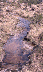 4.5 Sedimentdeposition 4.5.1 Uppläggning Hyggenas påverkan på sedimentdeposition i vattendraget samt effekten på överlevnad av öringrom i lekområden undersöktes med två metoder (se avsnitt 4.3.