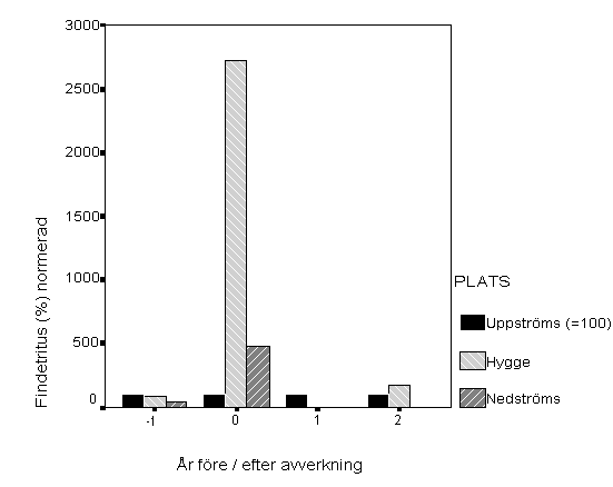 Figur 30. Yttäckningen av findetritus på hygges- och referenslokalerna jämfört med uppströms referens (=100) i Östra Bjurbäcken.