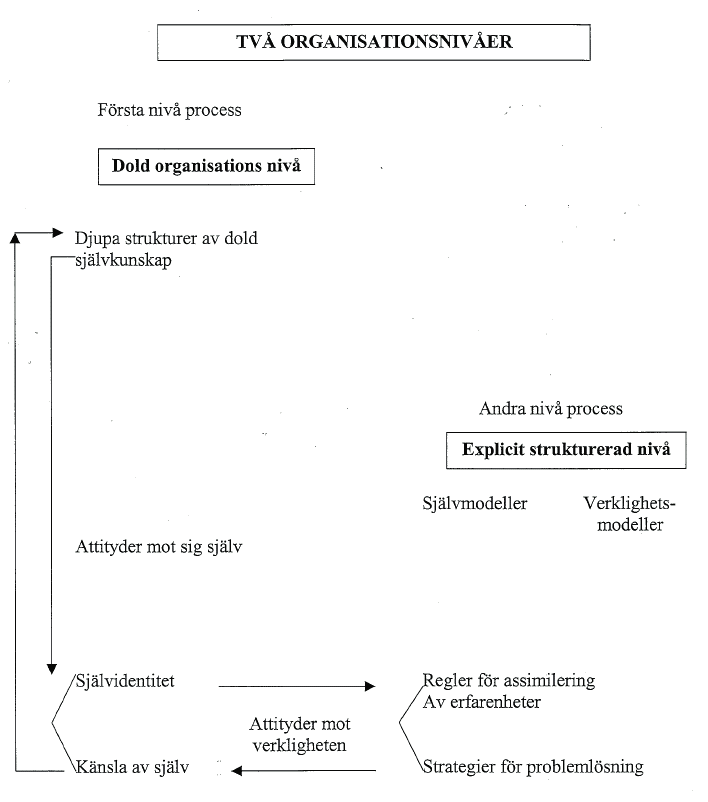 Risktagande i kognitivt perspektiv Ur Complexity of the self. Översatt till Svenska av E Linge. Redigerad av Björn Malmquist.